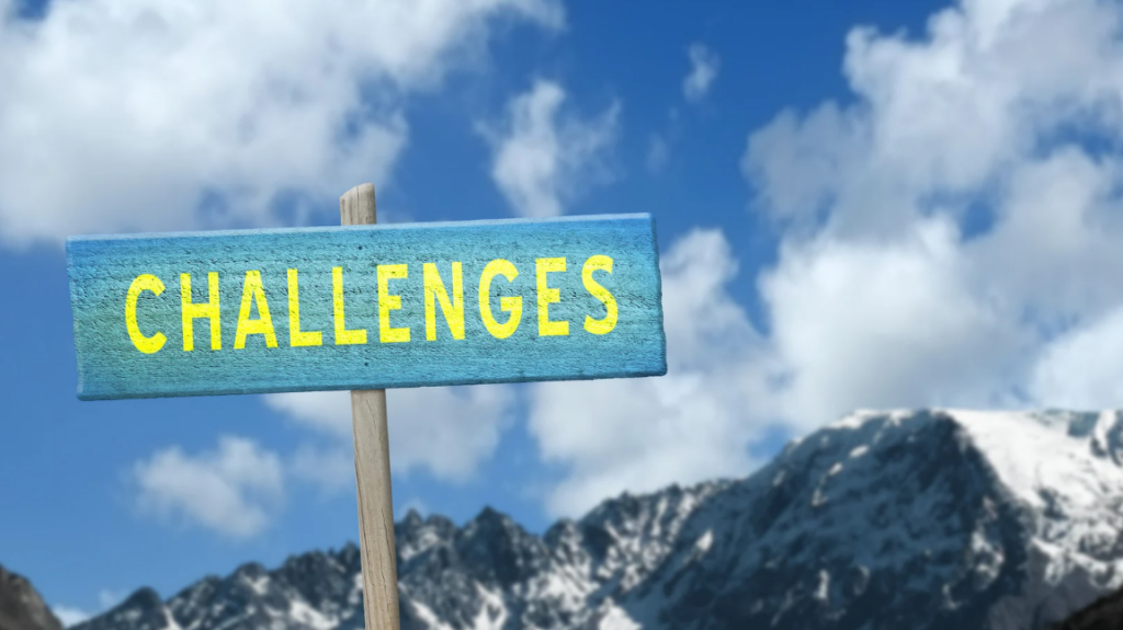 challenges and considerations in stroke occupational therapy